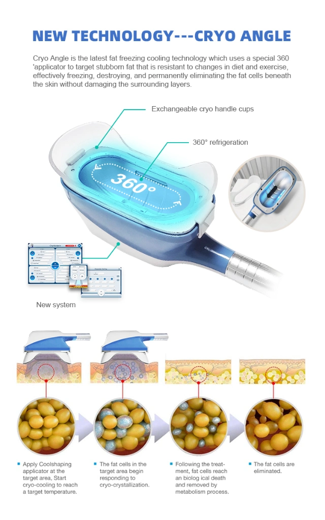 Hot Sale Multifunction 40K Cavitation RF Lipo Laser 360 Cryolipolysis Machine with 5 Handles